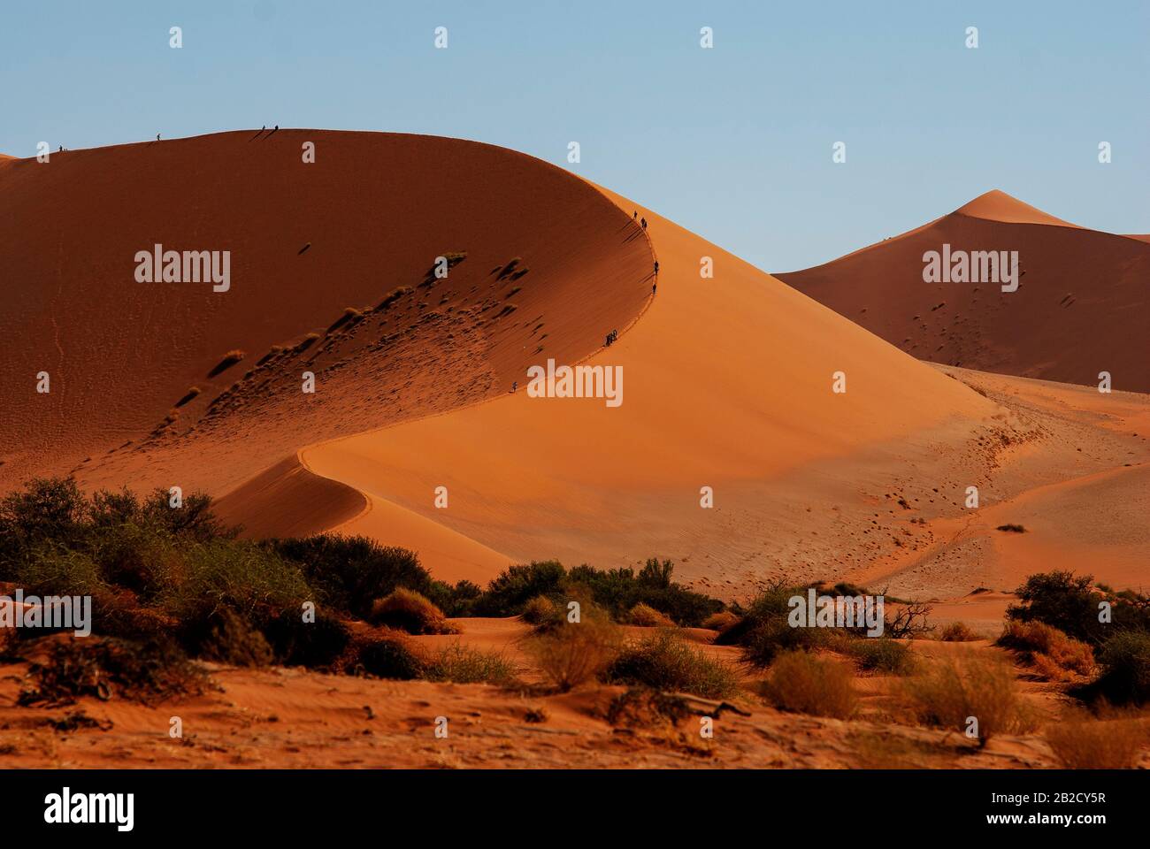 Tourists climbing Sossusvlei dune, the most famous dune at Namib ...