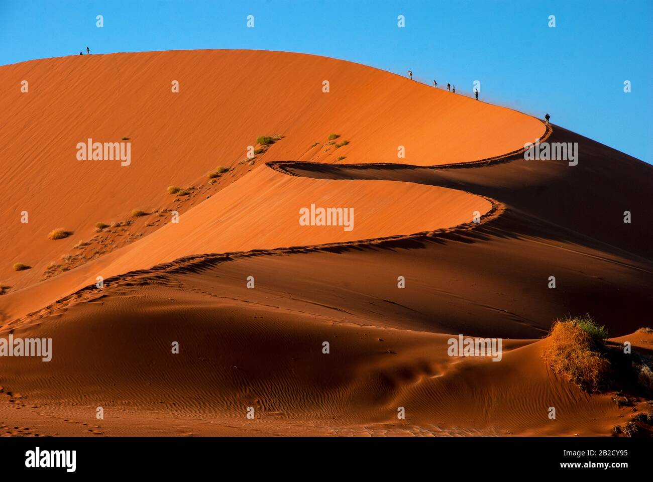 Tourists climbing Sossusvlei dune, the most famous dune at Namib ...