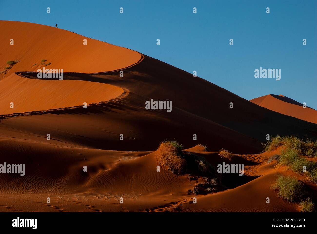 Tourists climbing Sossusvlei dune, the most famous dune at Namib ...