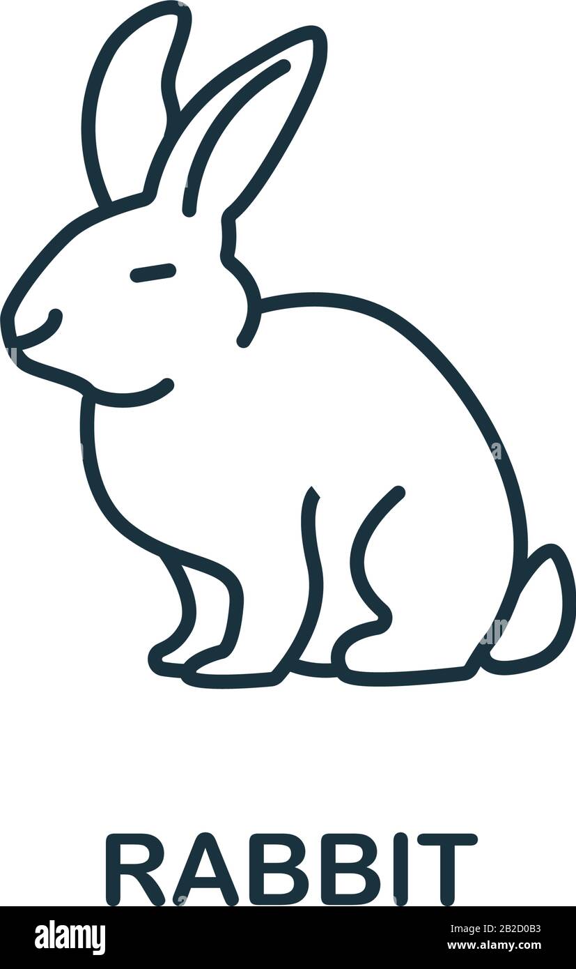 Rabbit icon from home animals collection. Simple line element Rabbit symbol for templates, web