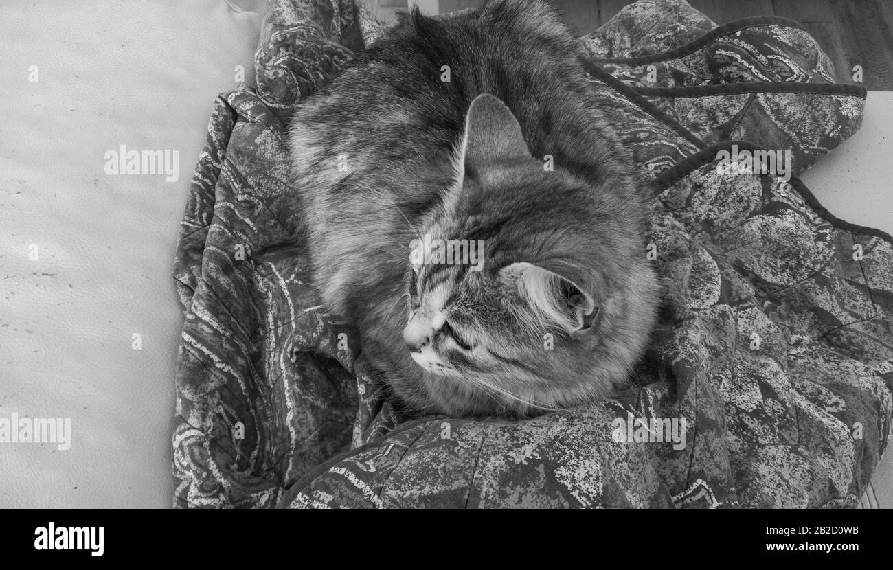 How Long to Keep Business Records