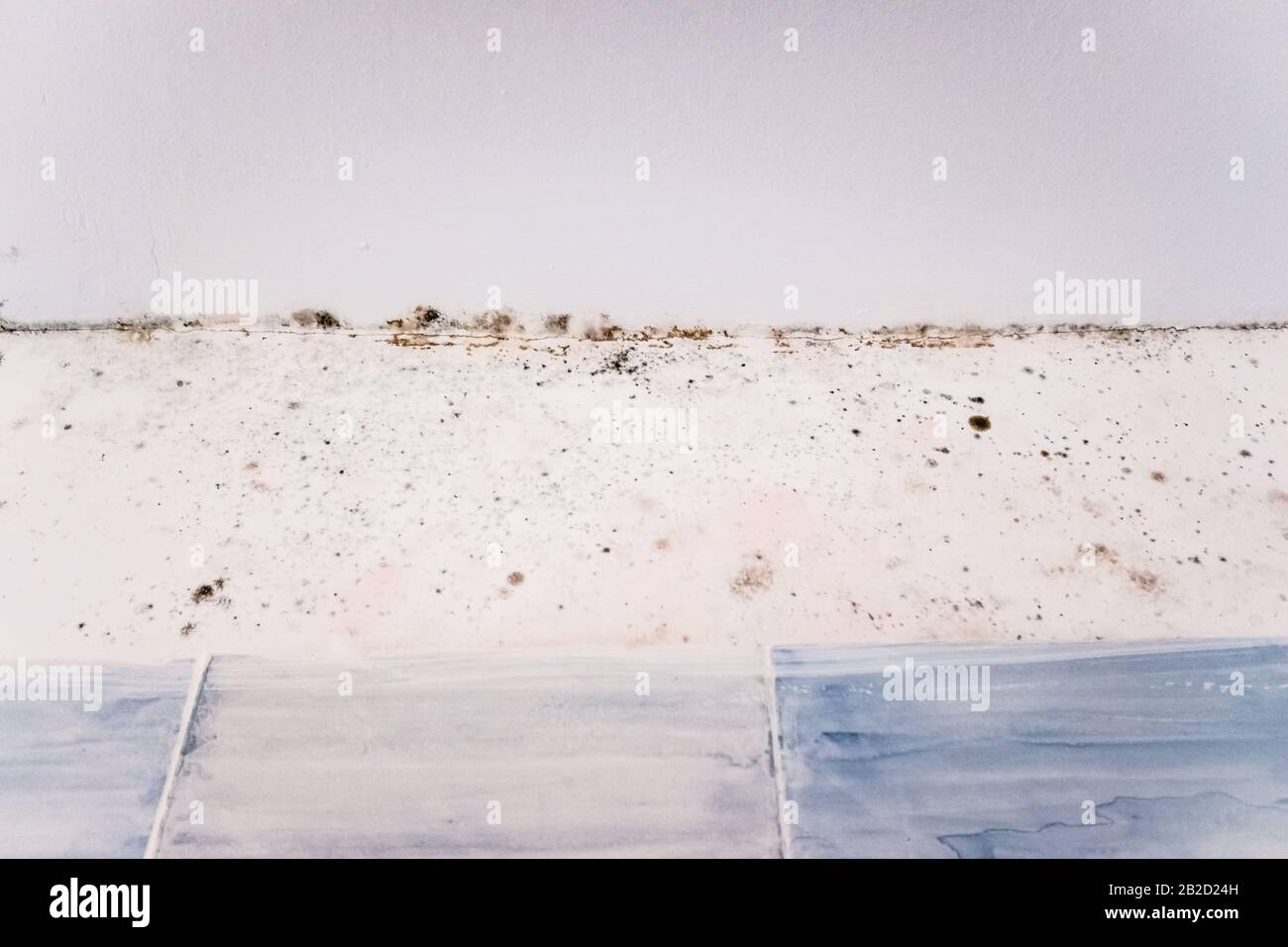 Black spots of fungus on the wall of a bathroom by moisture Stock Photo