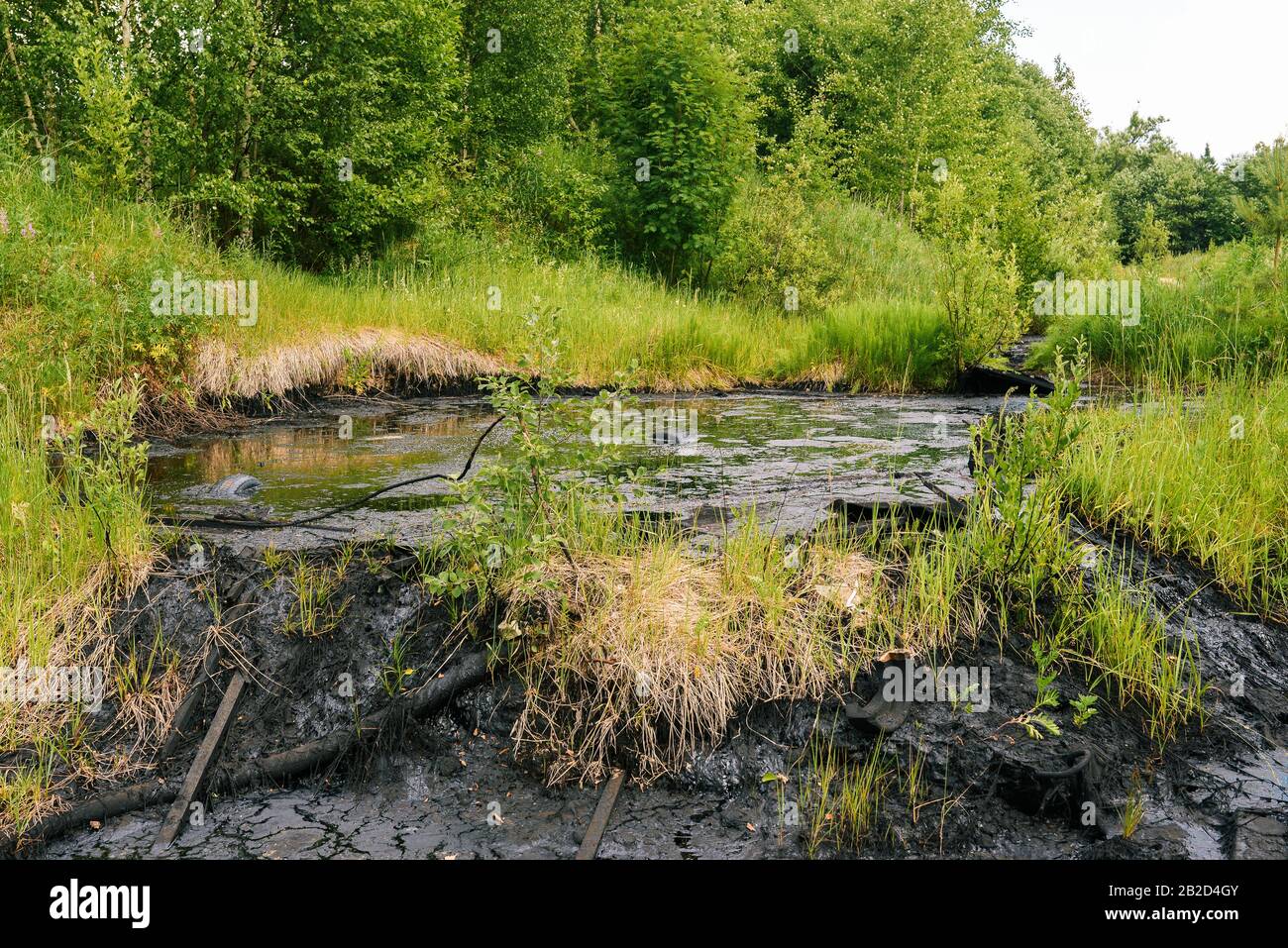 Pollution of nature by chemical and industrial waste. Black toxic liquid in the forest. Oil spill. Ecological catastrophy Stock Photo