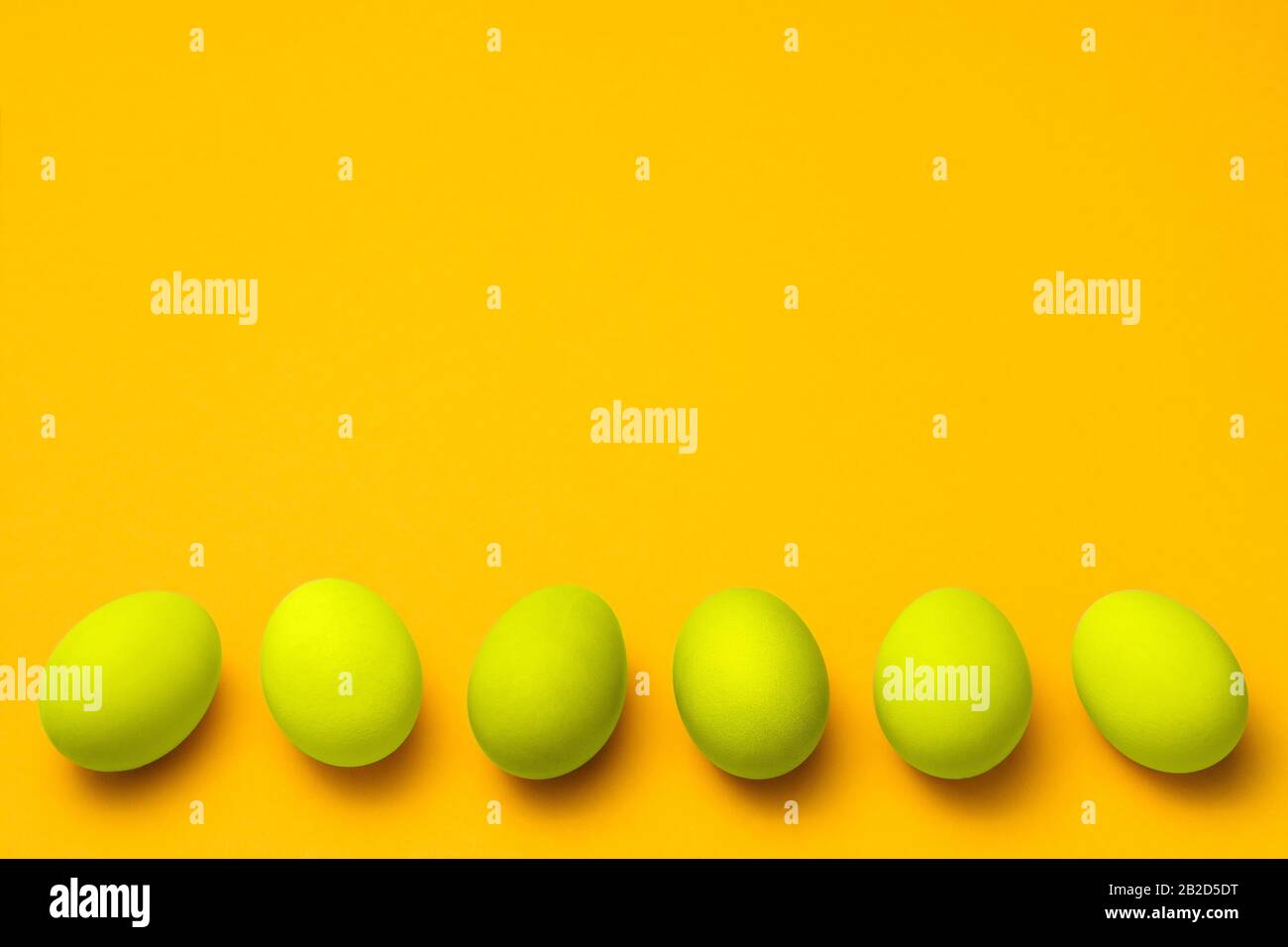 yellow colored eggs in a row on yellow background with copyspace Stock Photo