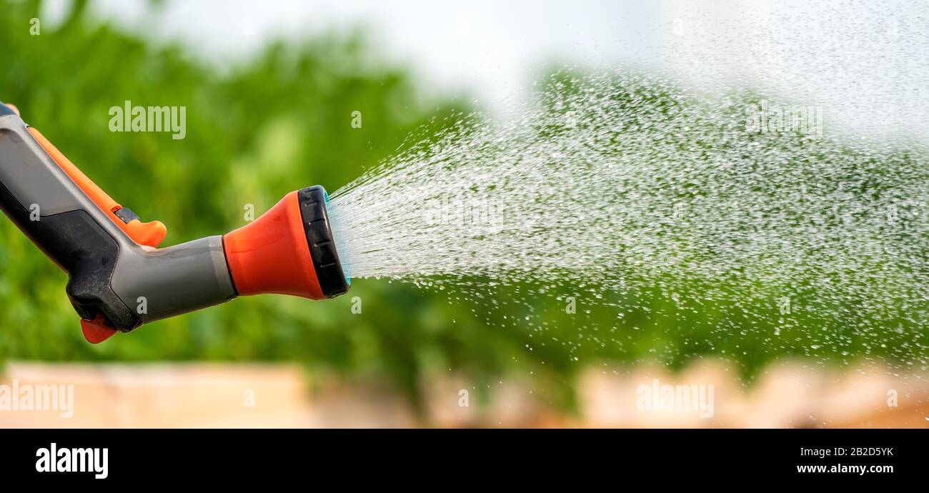 Watering different plants in the greenhouse garden Stock Photo