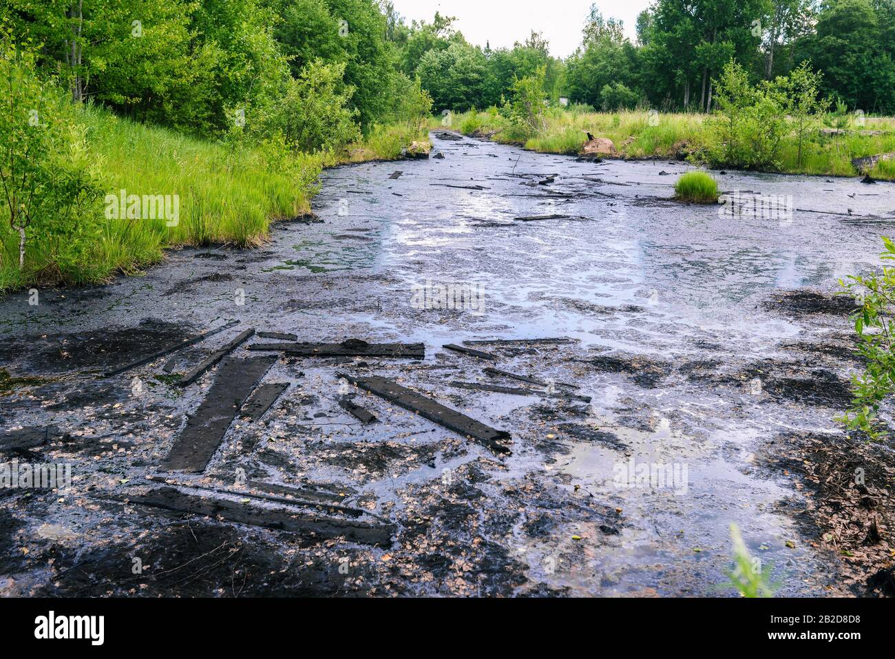 Black fluid in the forest. Pollution of nature by chemical and industrial waste. Oil spill. Ecological catastrophy Stock Photo