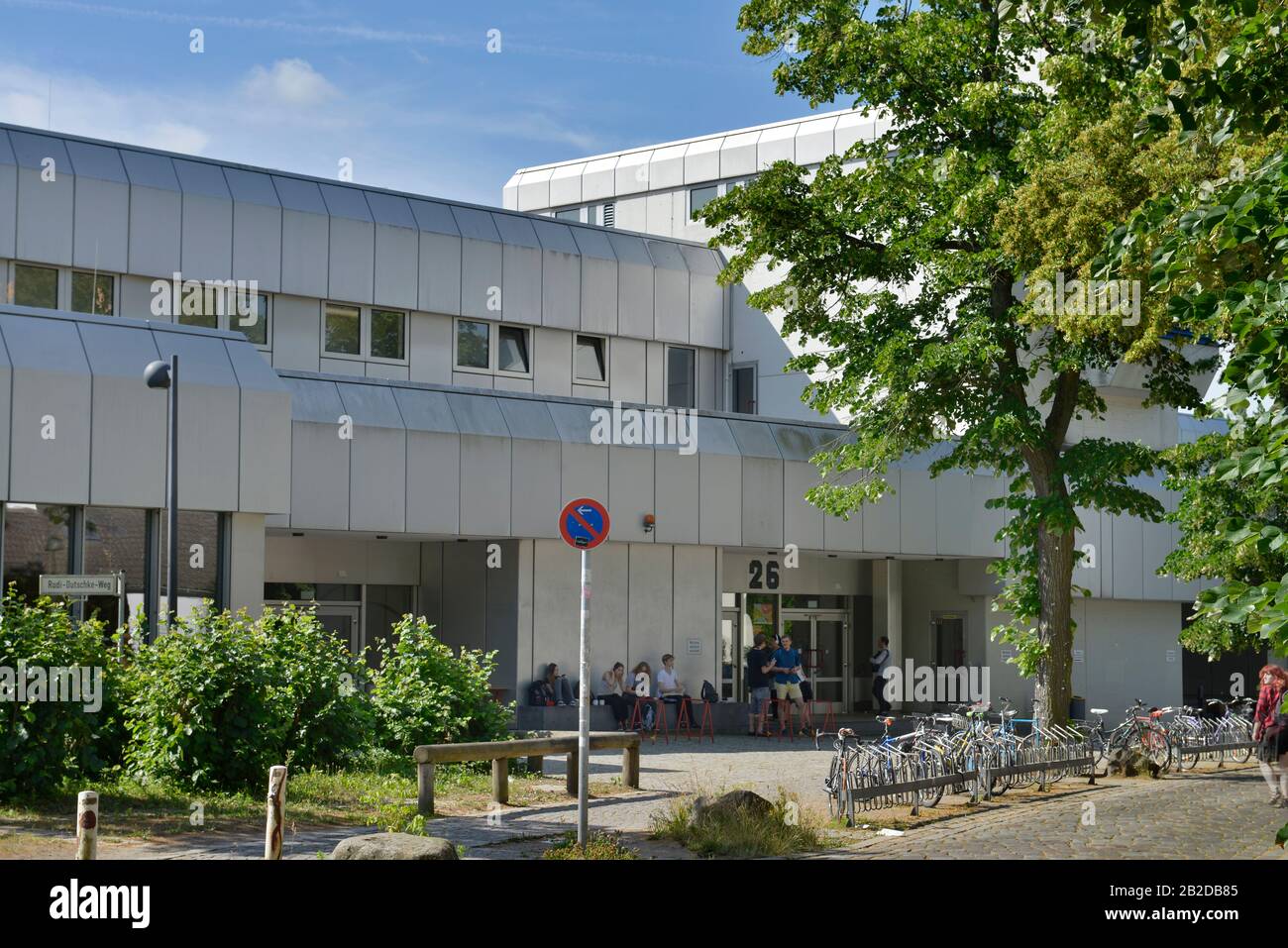 Silberlaube, Freie Universitaet, Habelschwerdter Allee, Dahlem, Steglitz-Zehlendorf, Berlin, Deutschland Stock Photo