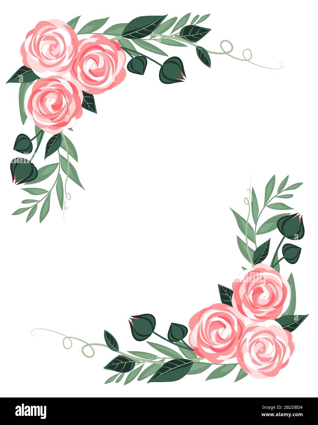 Vector Ranunculus Vector ranunculus flower Stock Vector Image & Art - Alamy