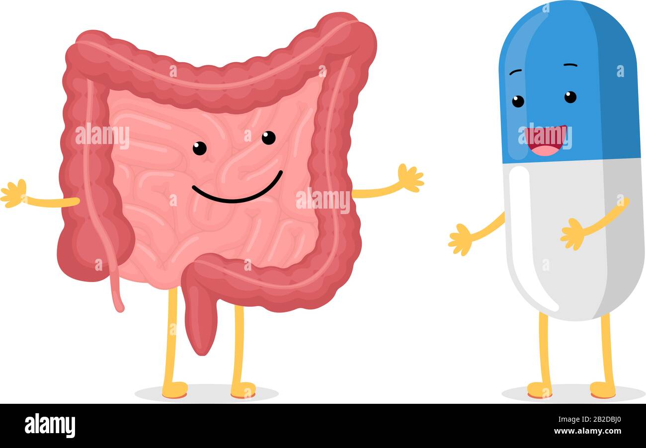 Cute cartoon healthy intestine and smiley medicament pill character. Abdominal cavity digestive and excretion human internal organ with probiotic or antibiotic capsule. Vector drug illustration Stock Vector