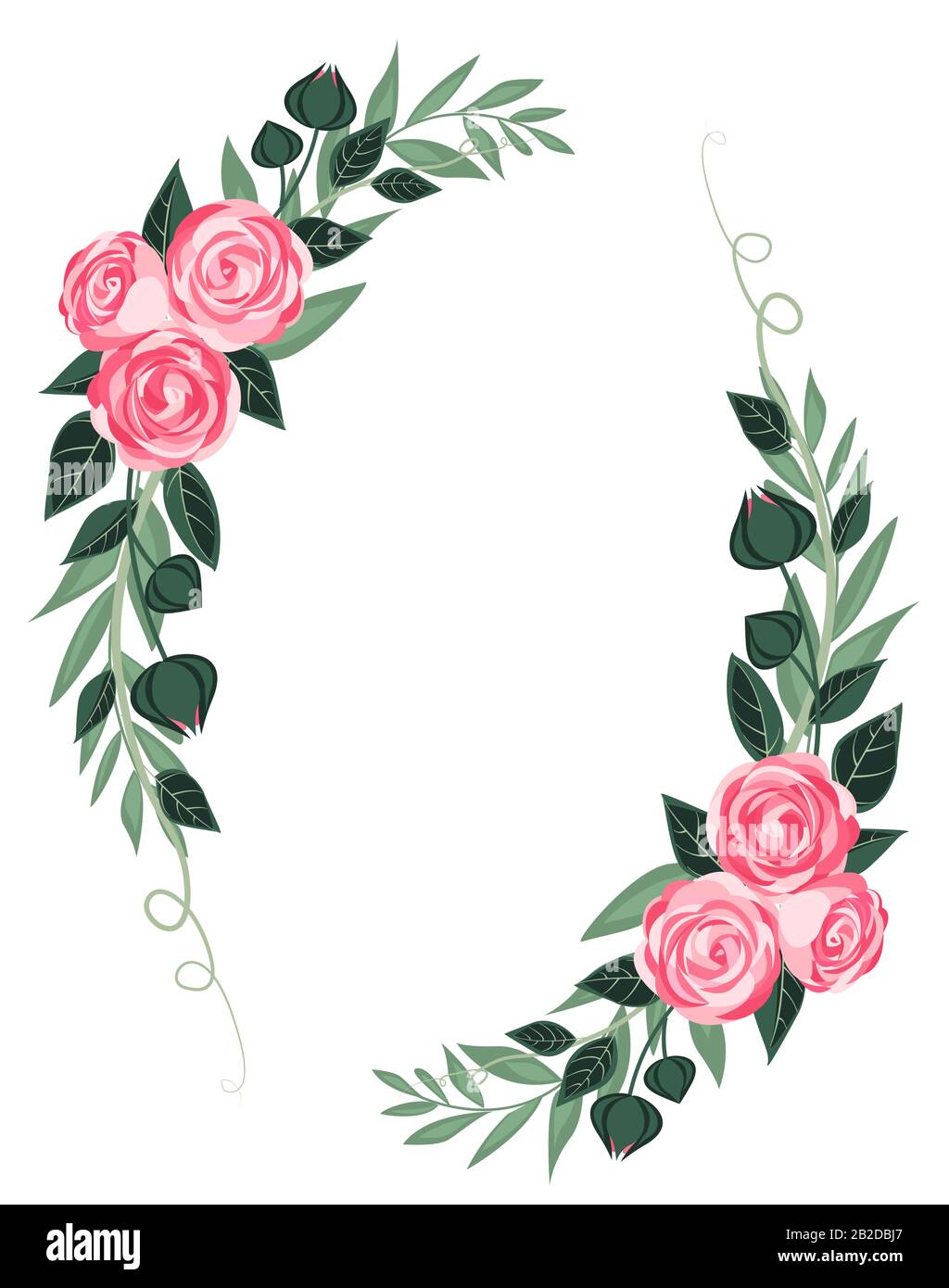 Vector Ranunculus Vector ranunculus flower Stock Vector Image & Art - Alamy