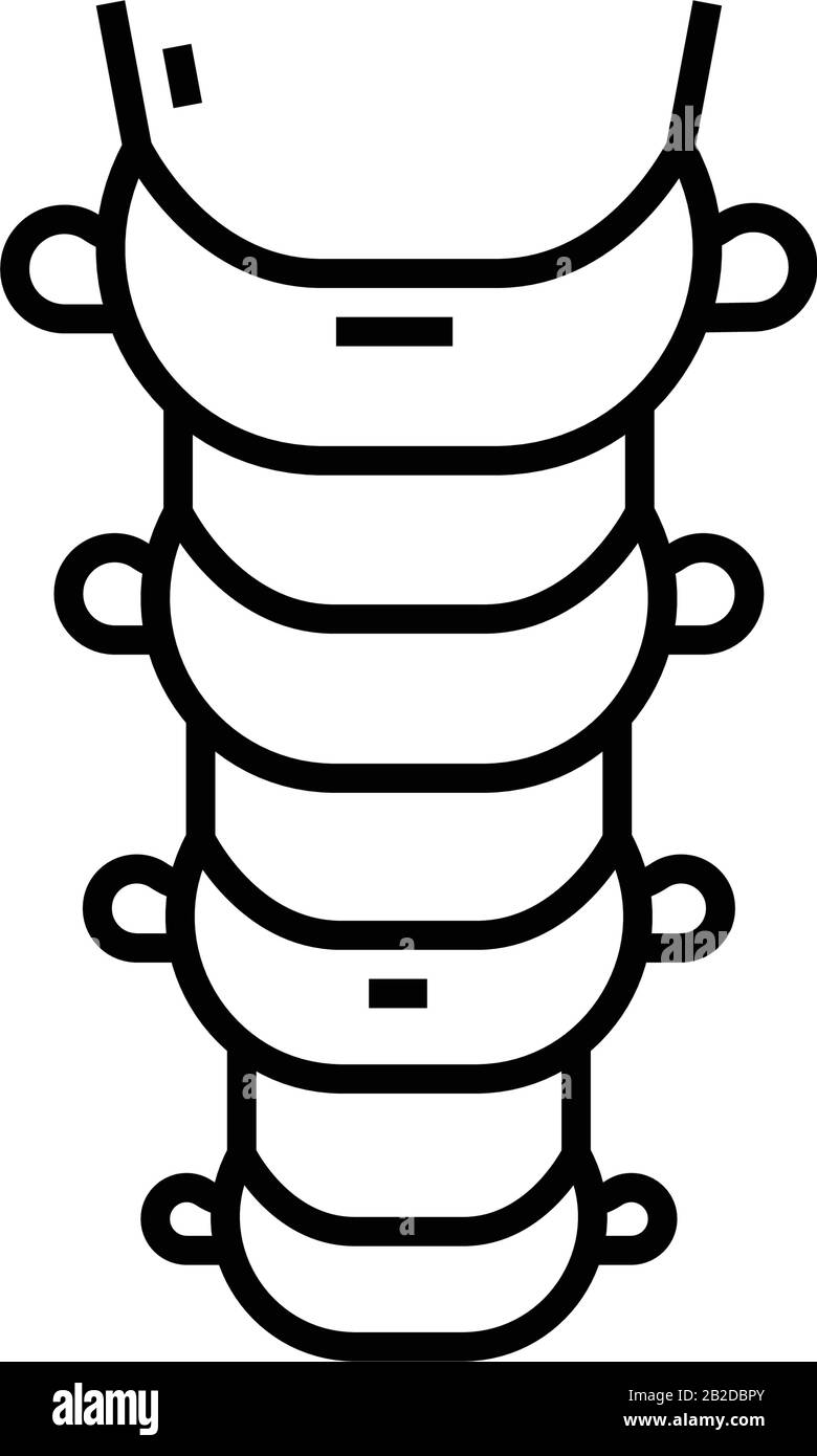 Spine bones line icon, concept sign, outline vector illustration ...