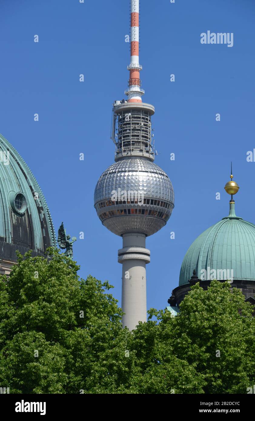 Kuppel, Berliner Dom, Fernsehturm, Lustgarten, Mitte, Berlin, Deutschland Stock Photo