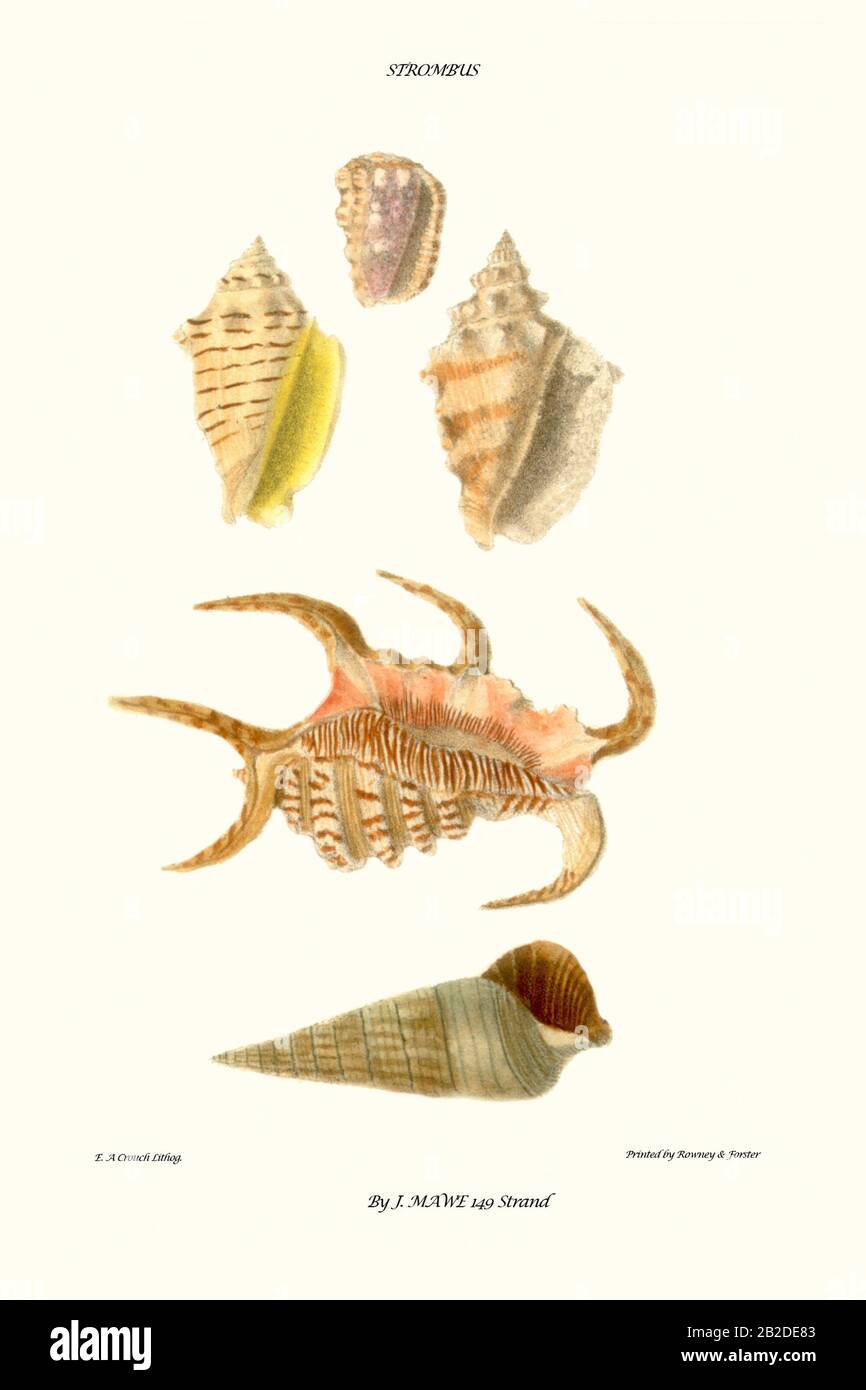 The Claw High Resolution Stock Photography and Images - Alamy