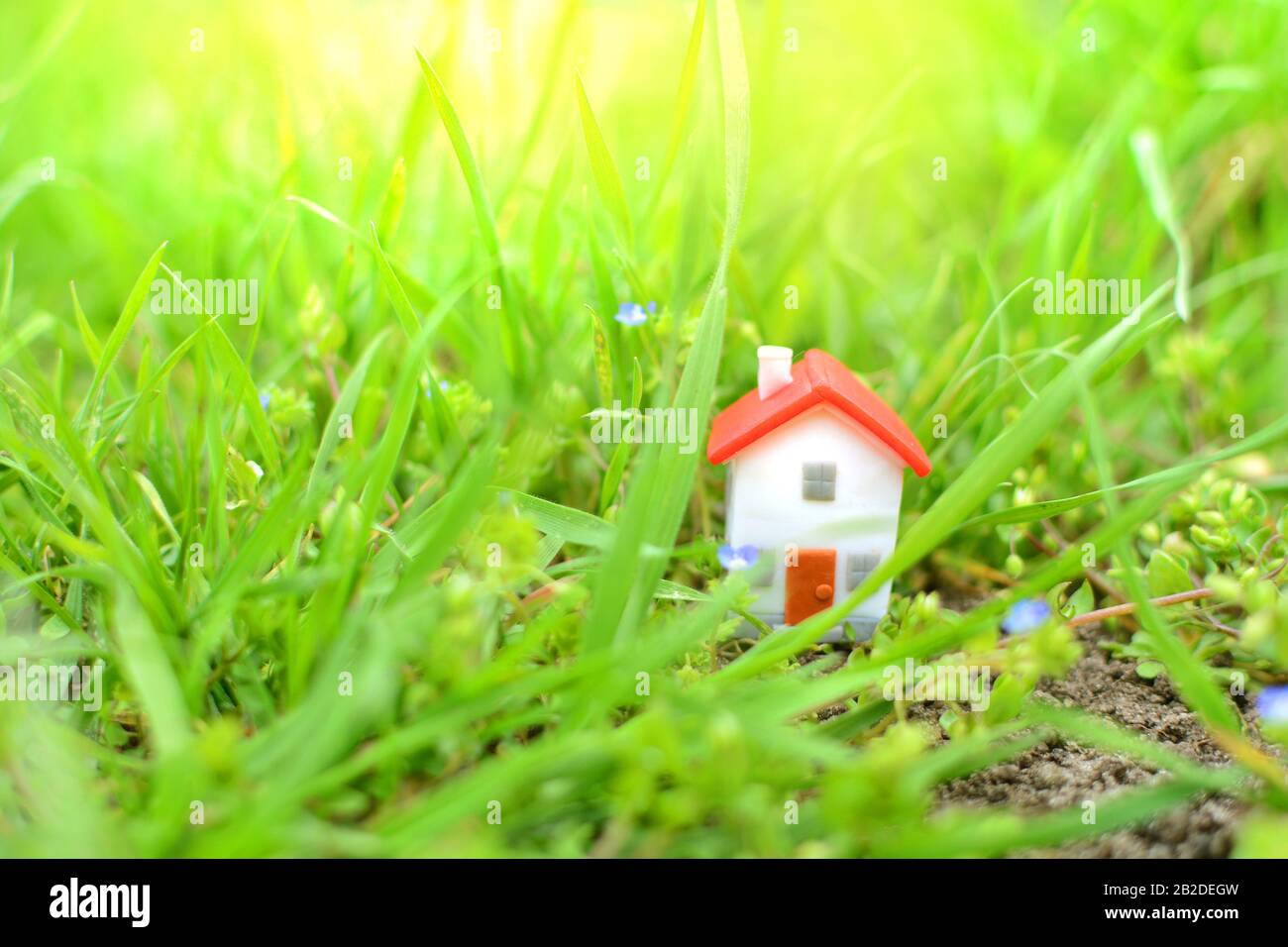 Fantasy concept of a housing. Fairy miniature house and nature. Miniature house in a green grass. Stock Photo