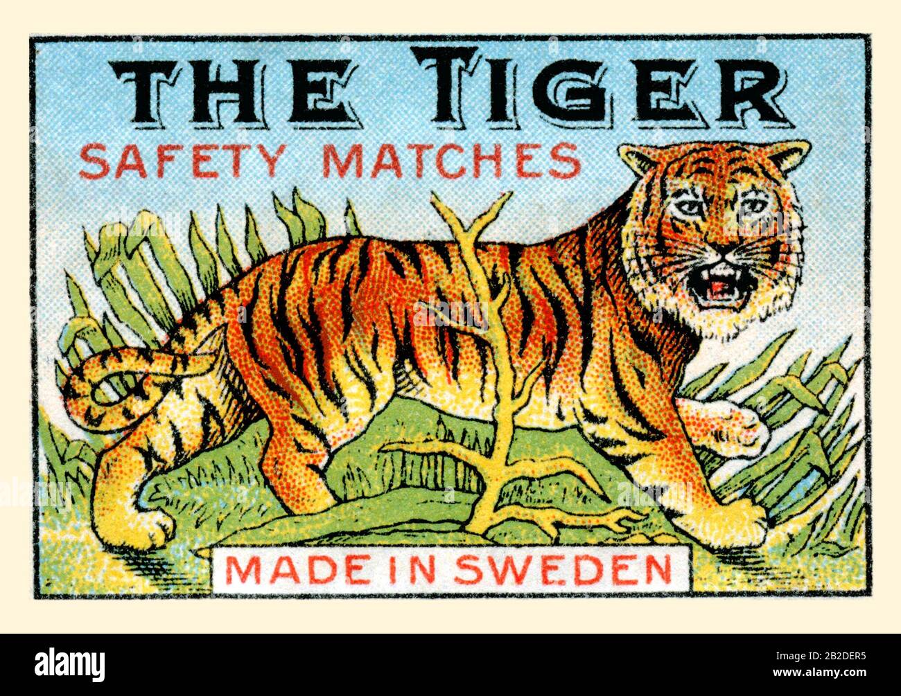 The Tiger Safety Matches Stock Photo