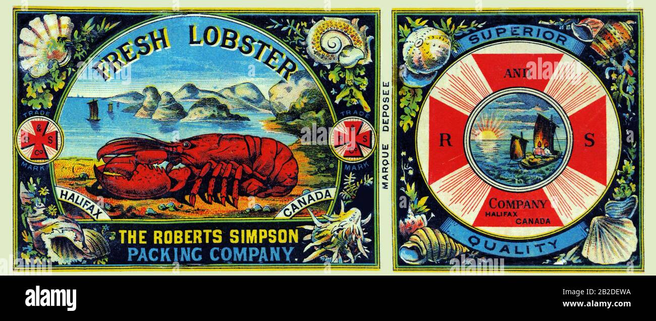 Roberts Simpson Fresh Lobster Stock Photo