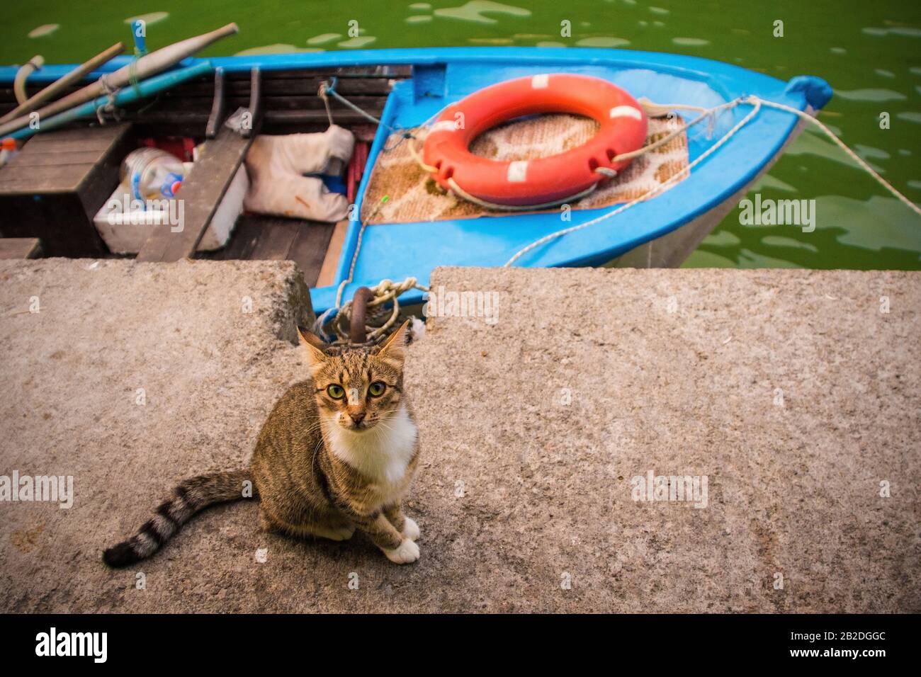 Riverside cafe asia hires stock photography and images Alamy