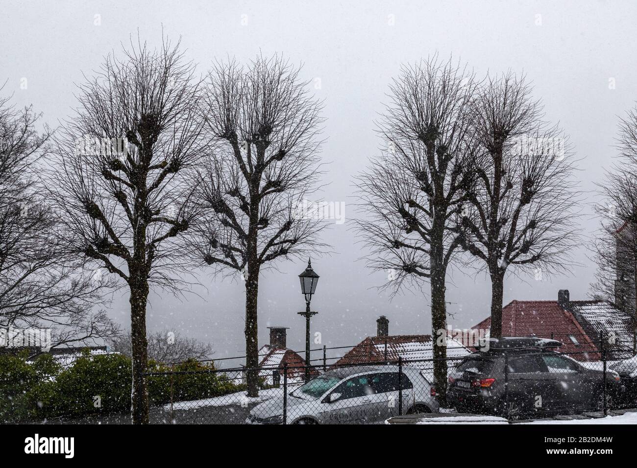 Street scene from one of the old parts of downtown Bergen, Norway. Winter at Klosterhaugen at Nordnes. View across Haugeveien through the snowstorm to Stock Photo