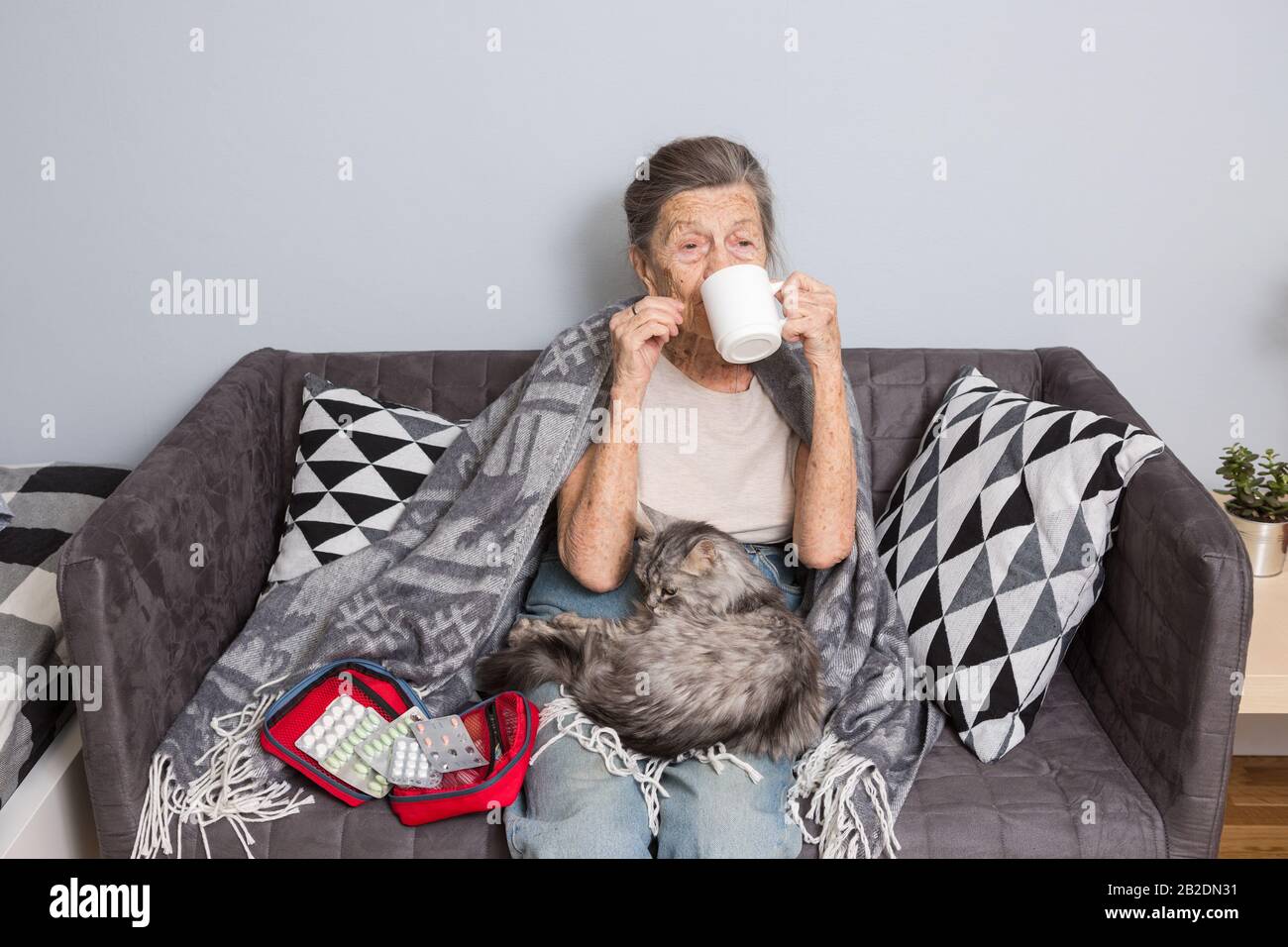 Elderly woman with pills at home. senior woman holding glass of water and pills. Granny holds pills and a cat in her arms sitting on a sofa. Age Stock Photo