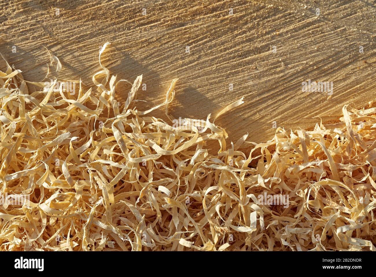 Close up view of wood shavings and sawdust Stock Photo Alamy