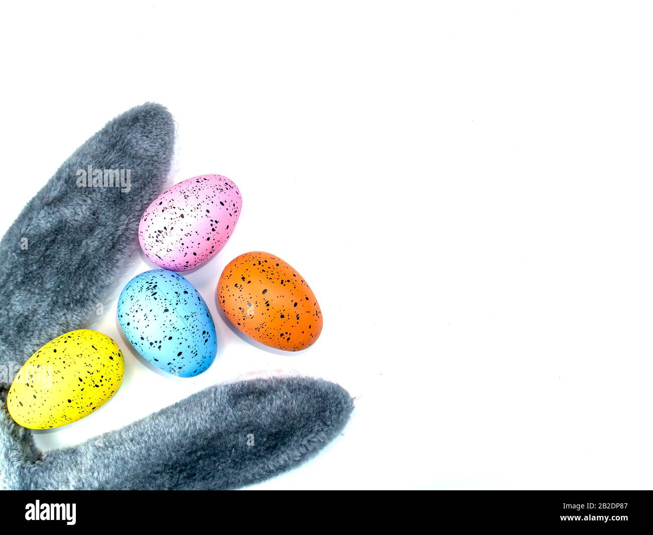 Colored easter eggs and bunny ears on a white background. Stock Photo