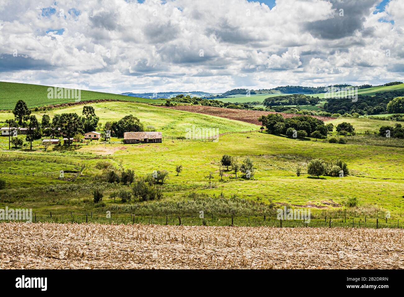 Ouro Verde Santa Catarina fonte: c8.alamy.com