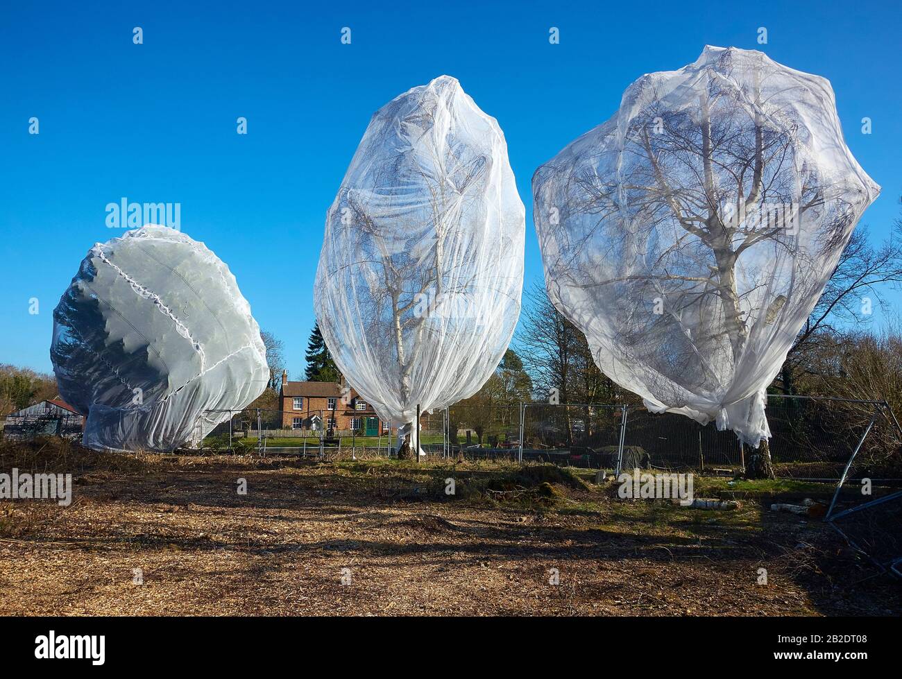 Bird Netting High Resolution Stock Photography And Images Alamy