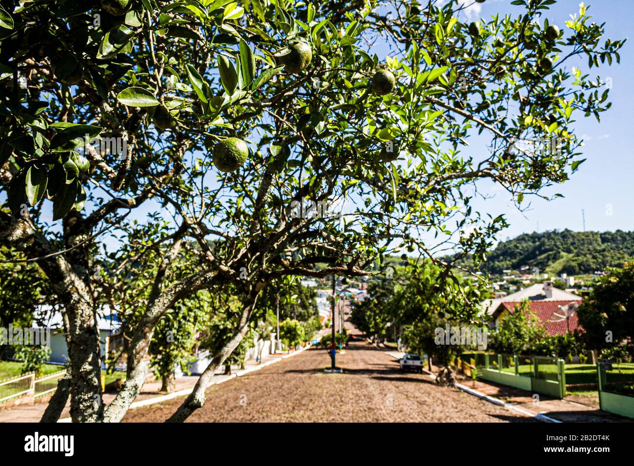 Mondaí Santa Catarina fonte: c8.alamy.com