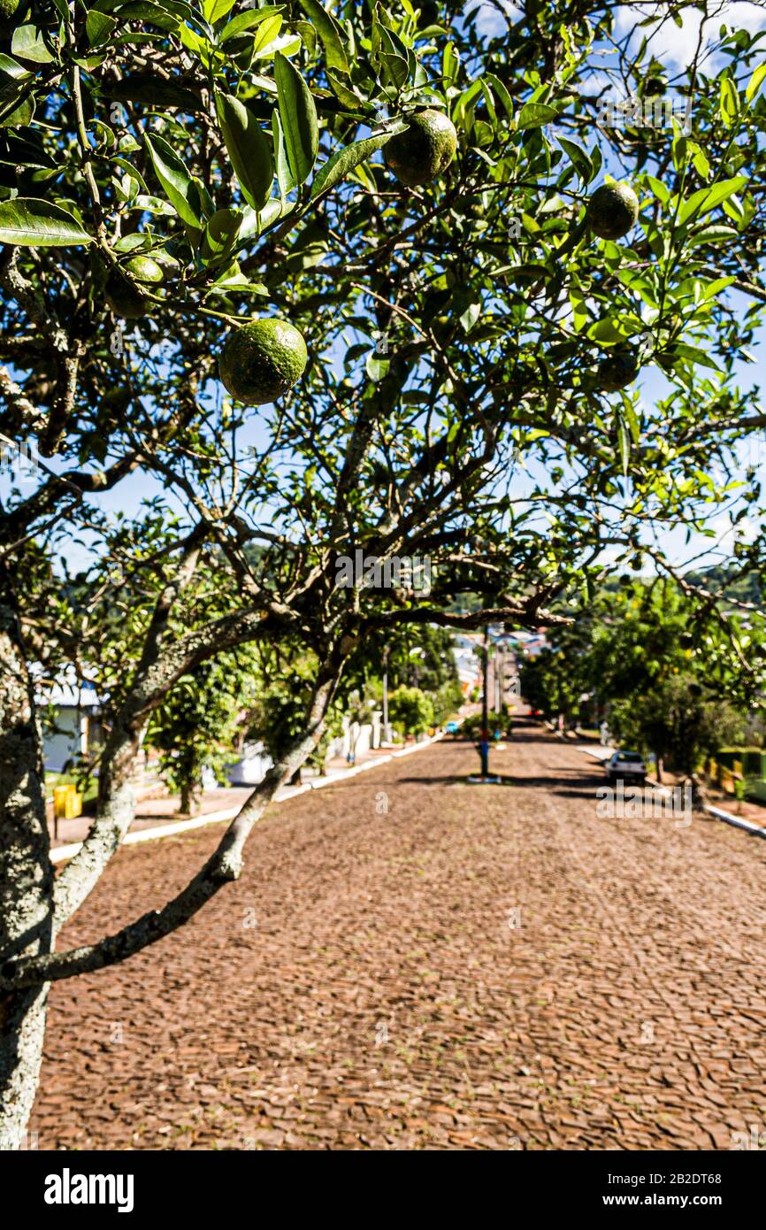 Mondaí Santa Catarina fonte: c8.alamy.com