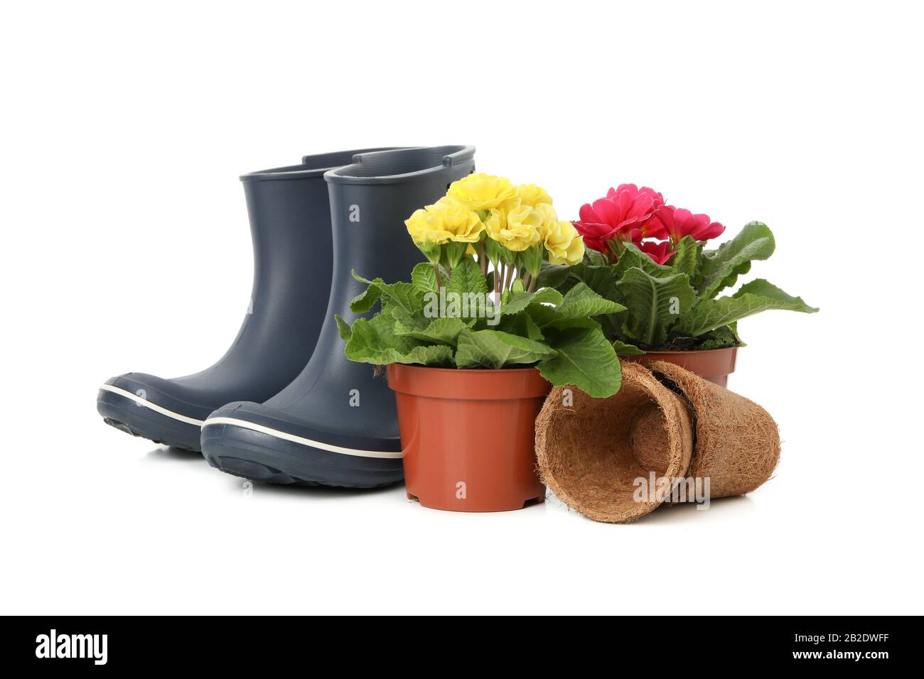 Garden boots and flowers isolated on white background Stock Photo - Alamy