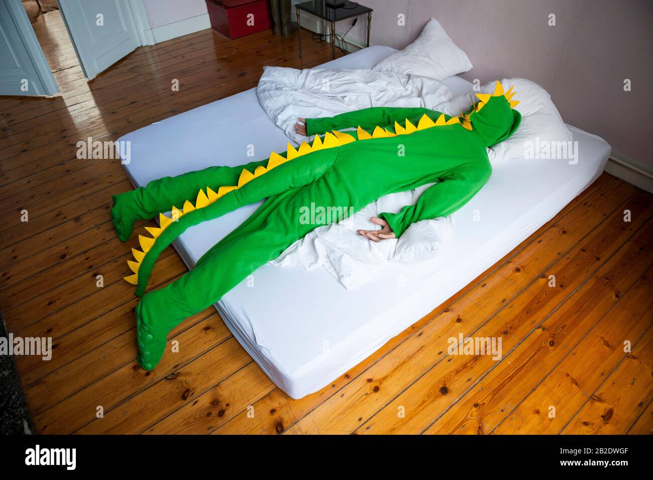 lounge lizard costumes