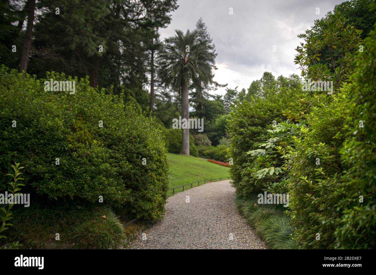 Summer vacation in Como lake villa park and garden Stock Photo Alamy