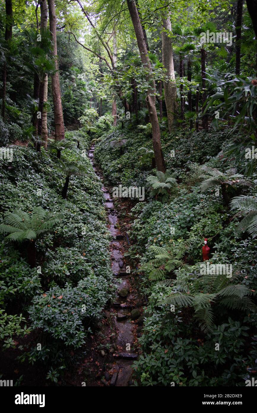 Summer vacation in Como lake villa park and garden Stock Photo Alamy