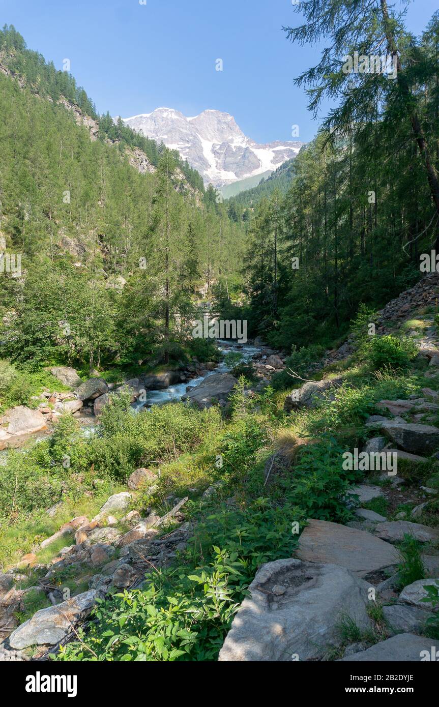 Trekking in Italian Alps mountain Stock Photo - Alamy