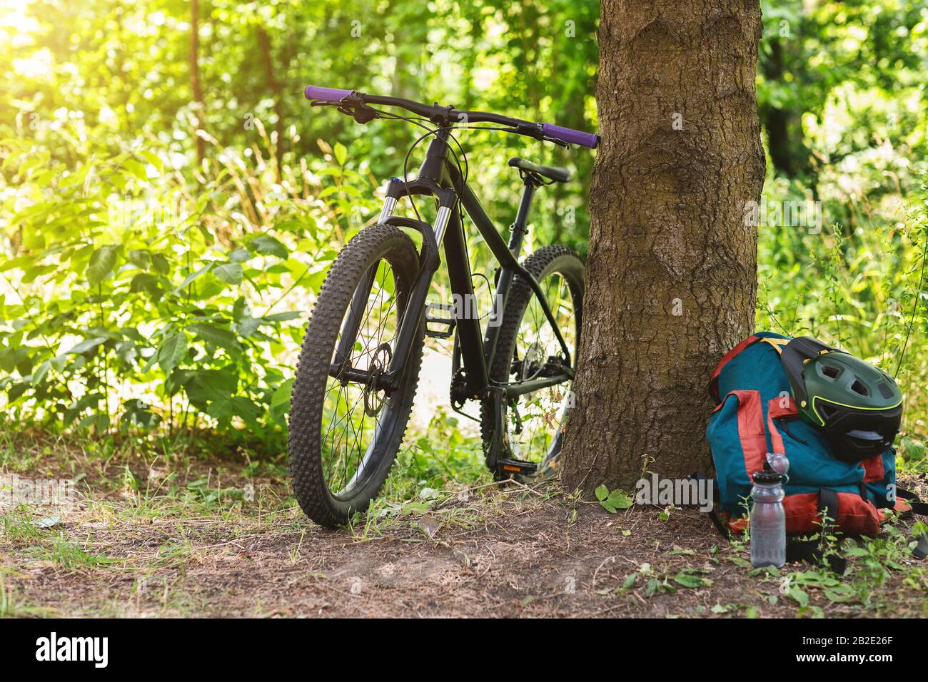Mountain biking equipment in the woods, small halt Stock Photo