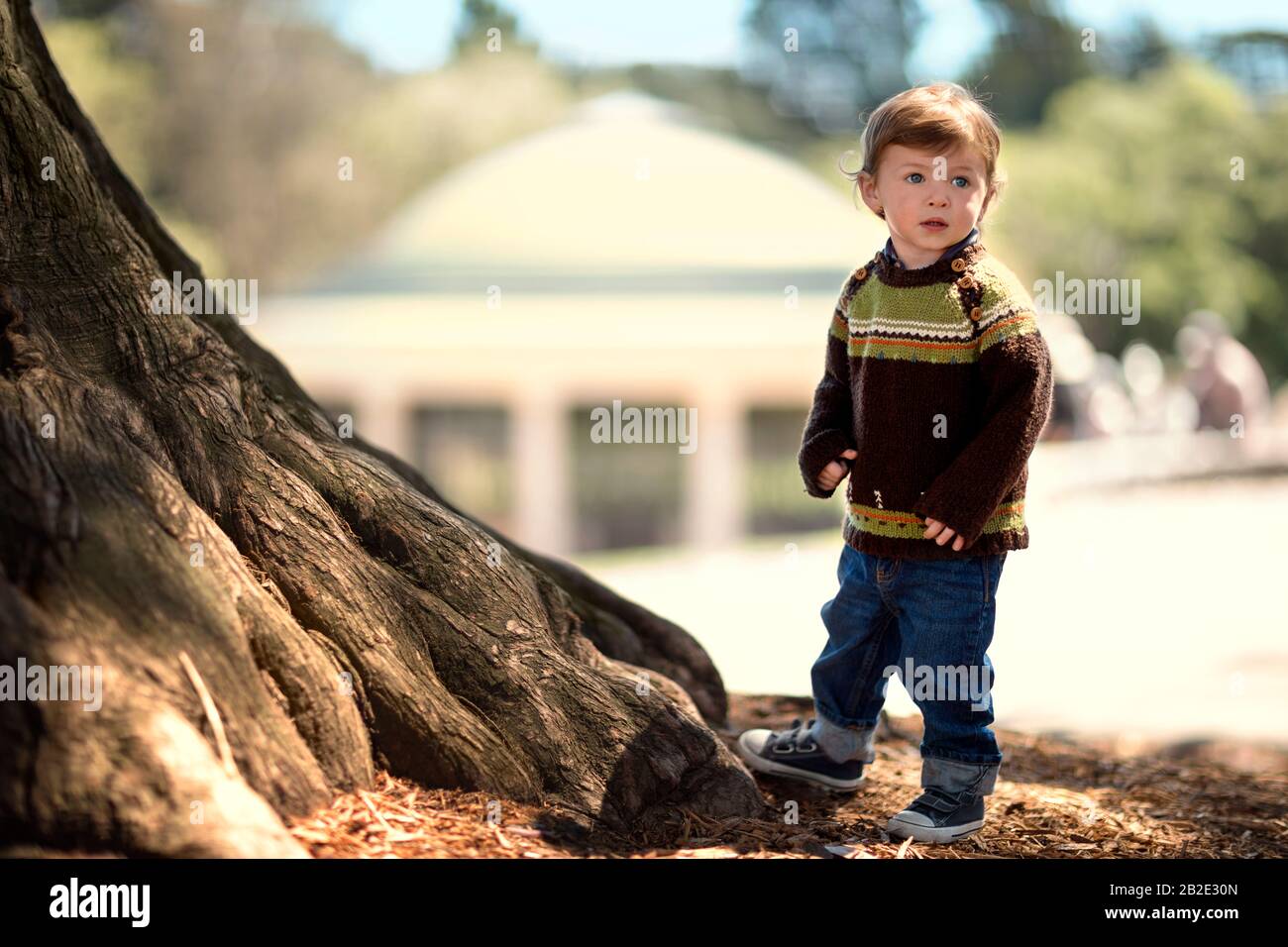 Young boy standing by a tree Stock Photo