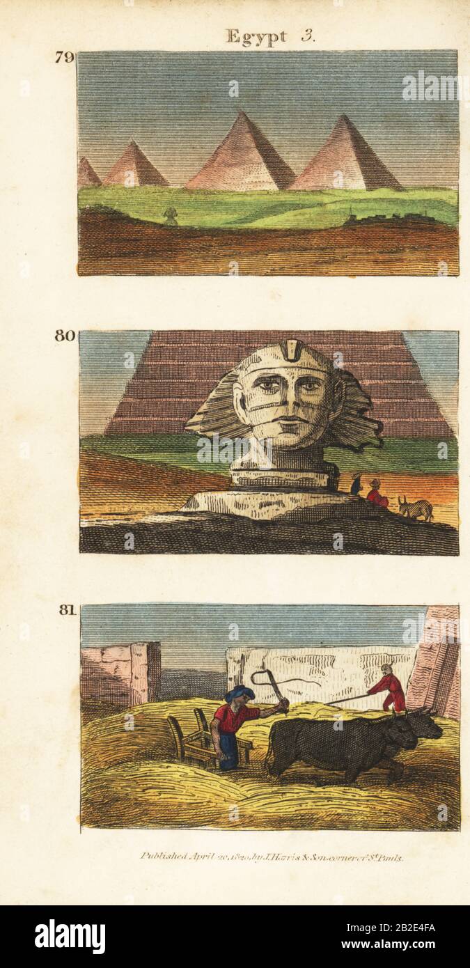 View of the pyramids 79, the Great Sphinx at Giza 80, and workers thrashing corn using oxen 81. Handcoloured copperplate engraving from Rev. Isaac Taylor’s Scenes in Africa for the Amusement and Instruction of Little Tarry-at-Home Travelers, Harris and Son, London, 1820. Stock Photo