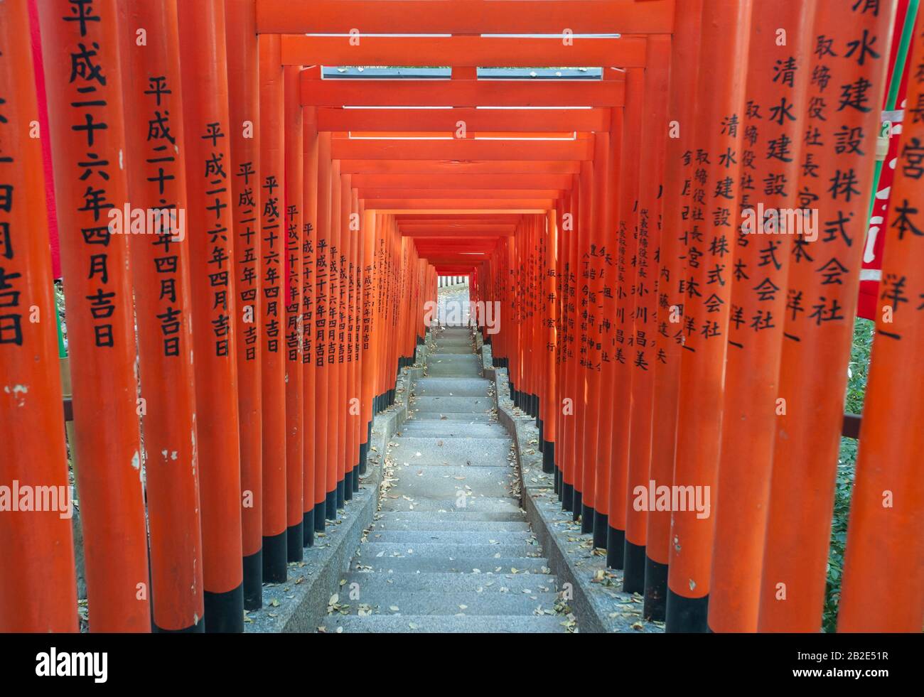 Tunnel of Red Torii gates at Hie Shrine, Akasaka, Tokyo Stock Photo