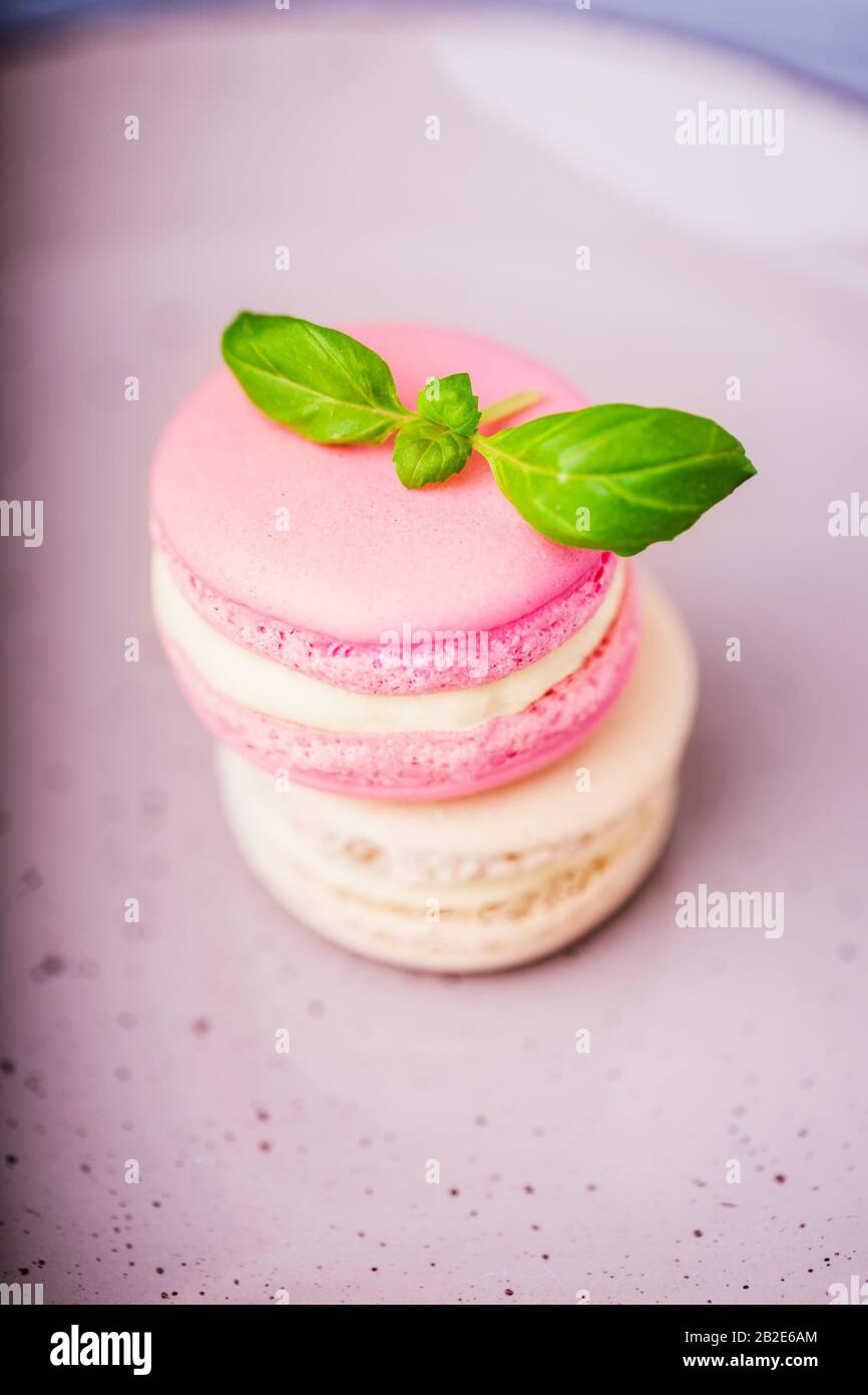 Pink raspberry and beige vanilla macaroons with basil on a ceramic plate Stock Photo