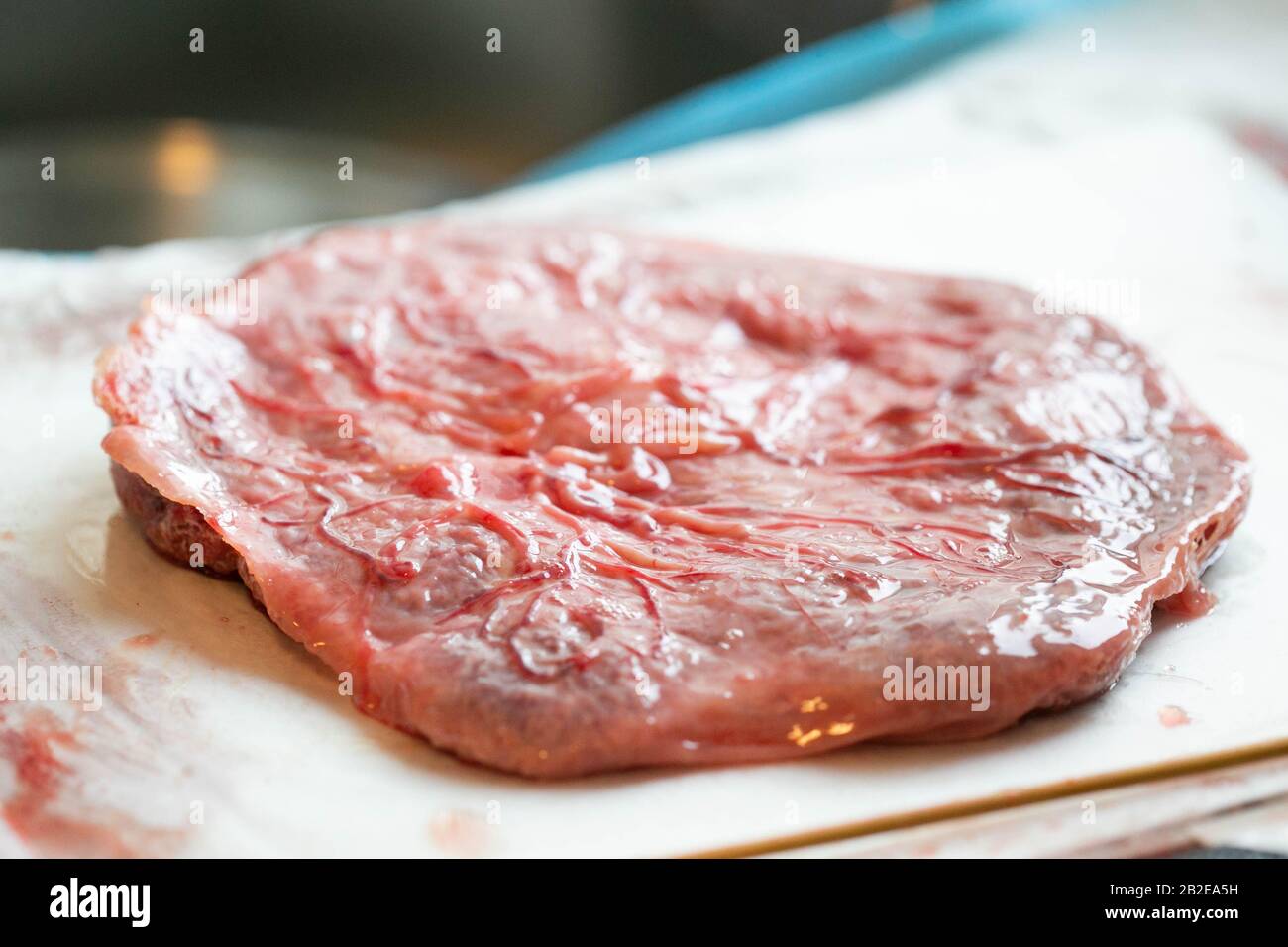 Close up of clean placenta on white pad with visible veins and ateries Stock Photo
