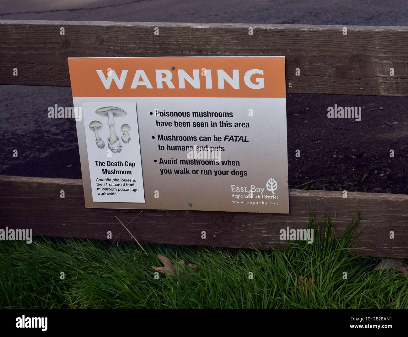warning sign about poisonous mushrooms in an East Bay Regional Park