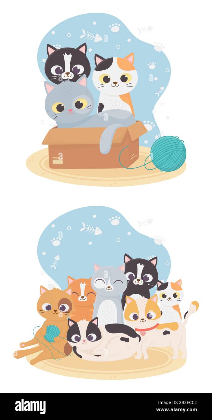 cats make me happy, cute cats in box with wool ball and different breeds vector illustration Stock Vector