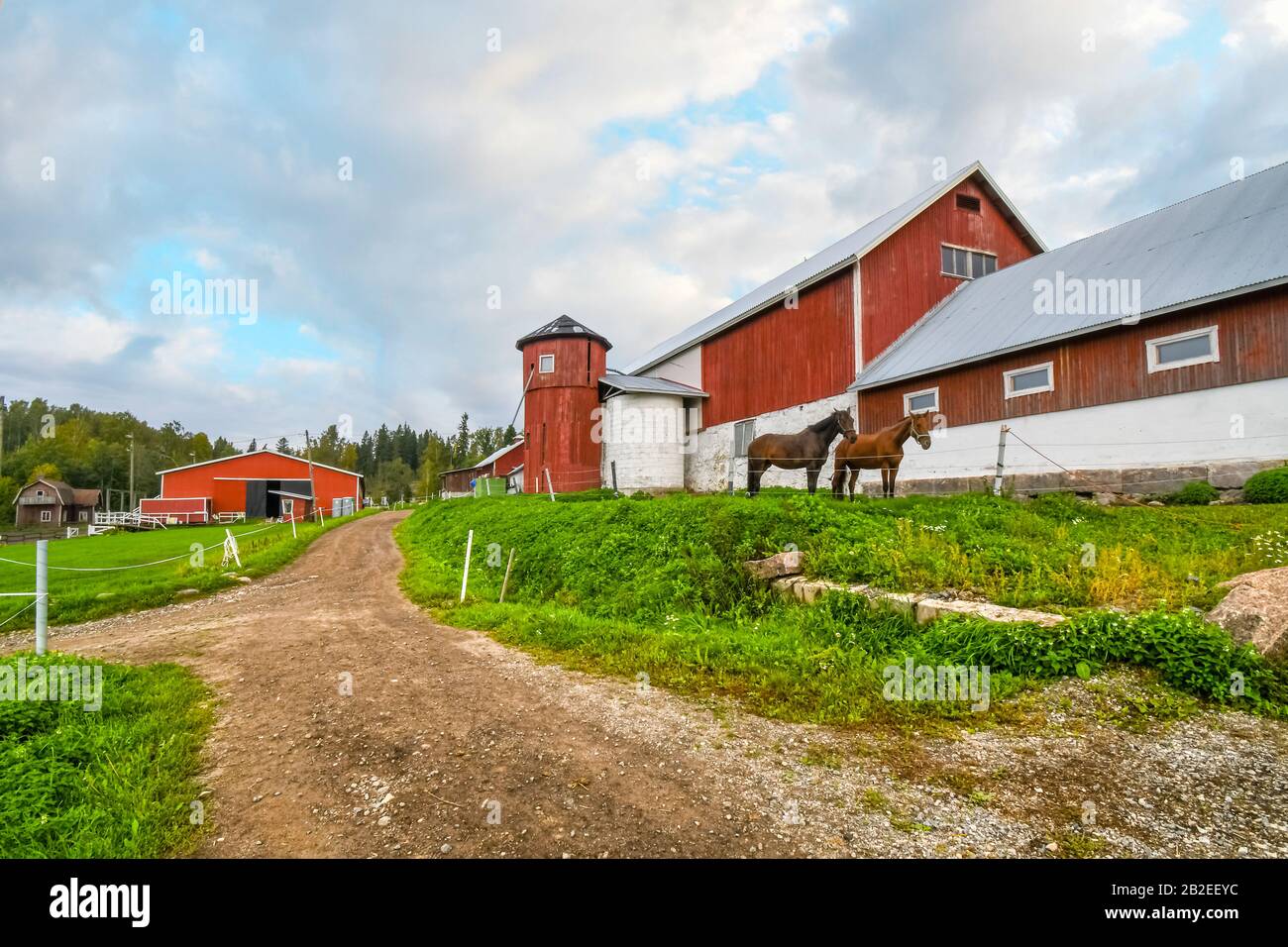 Two thoroughbred horses stand together in a corral at a large horse rance farm with barn and silo in the rural countryside of Finland. Stock Photo