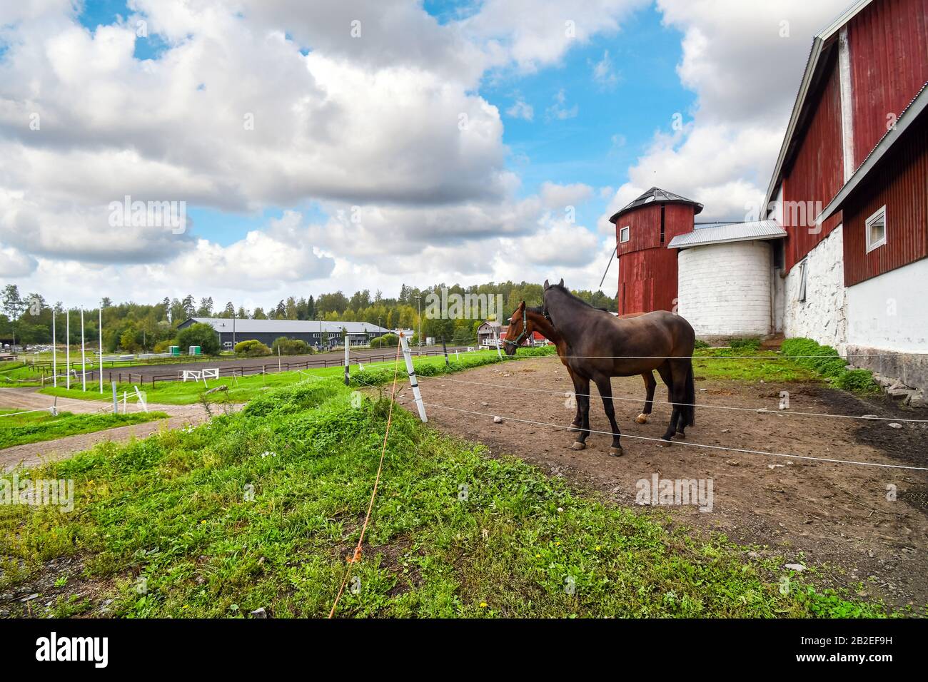 Two thoroughbred horses stand together in a corral at a large horse ranch farm with barn and silo in the rural countryside of Finland. Stock Photo