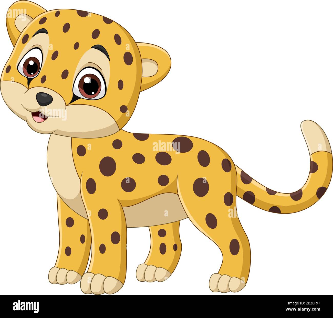 Cartoon leopard isolated on white background Stock Vector Image & Art -  Alamy