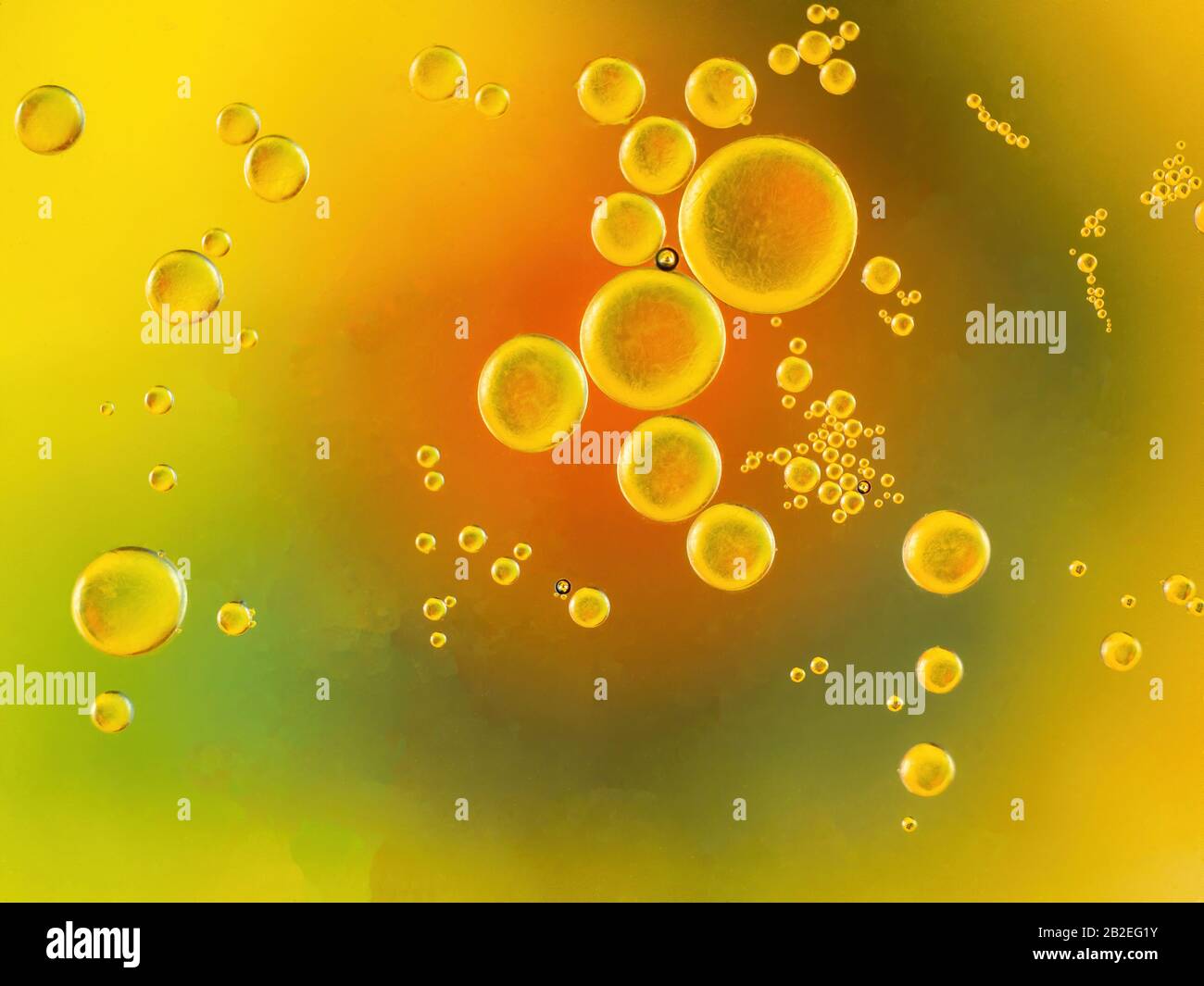 drops of oil on water with yellow orange and green background Stock ...