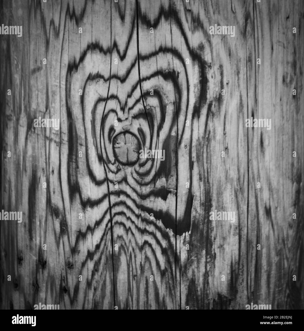 Wood grain up close Stock Photo Alamy