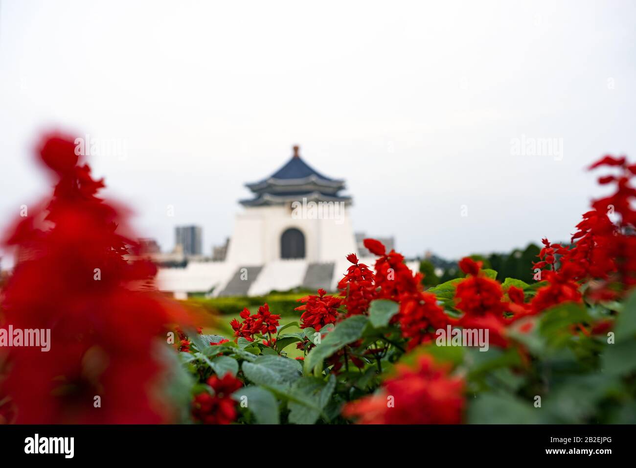 (Selective focus) Blurred National Chiang Kai-shek Memorial Hall in the background and beautiful red flowers in the foreground. Stock Photo