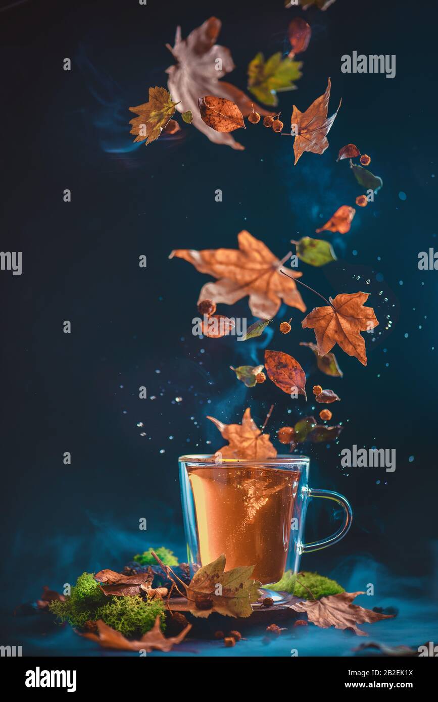 Hot autumn tea with a swirl of fallen leaves, acorns and berries ...
