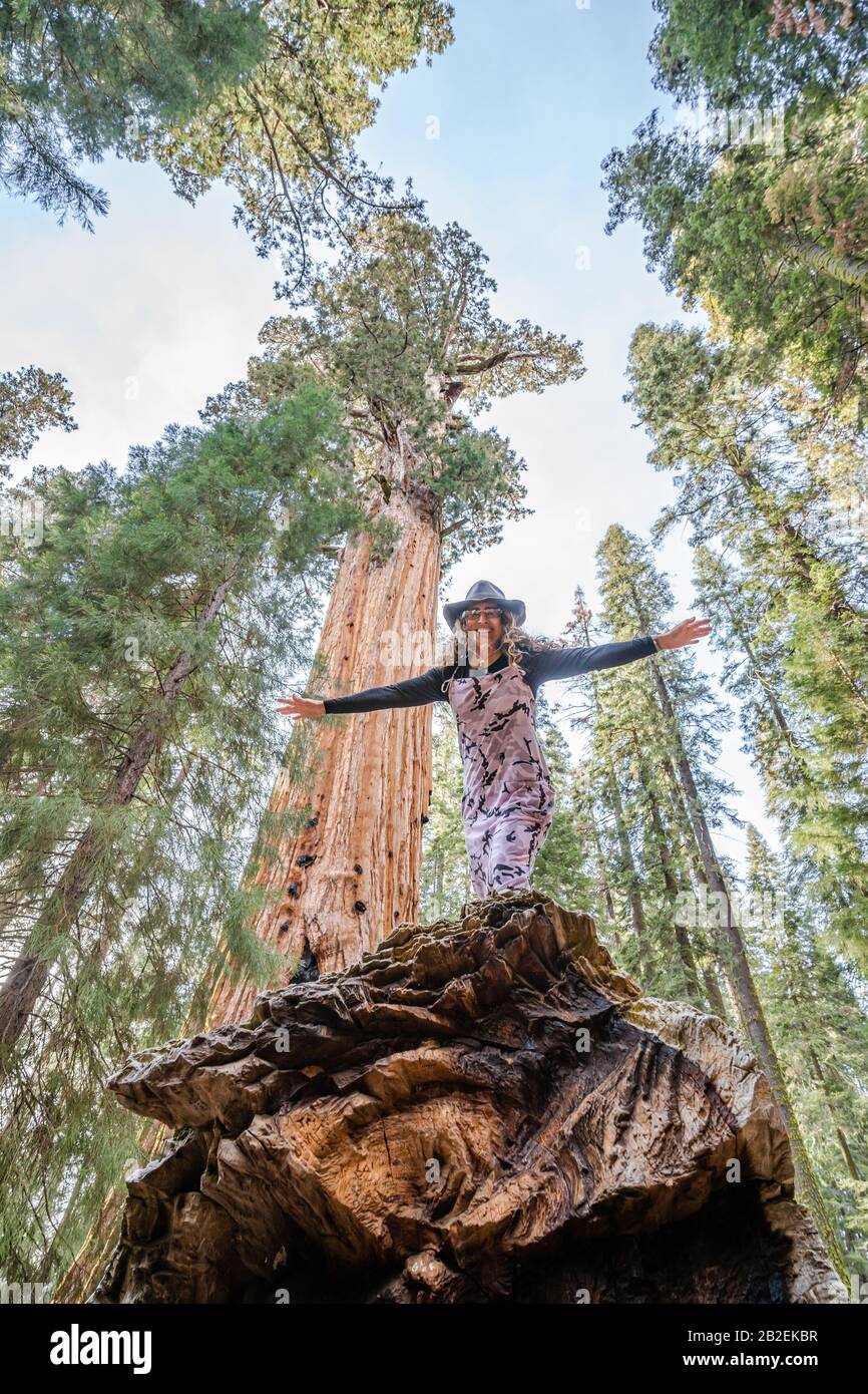 Woman balances on fallen branch from the giant sequoia, General Sherman, in Sequoia National Park, vertical shot. Stock Photo